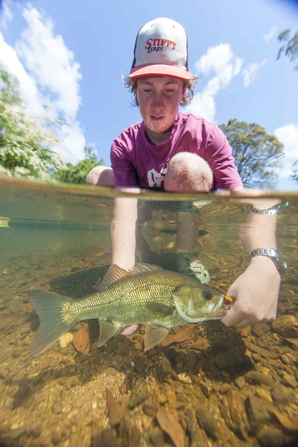 how to catch bass
