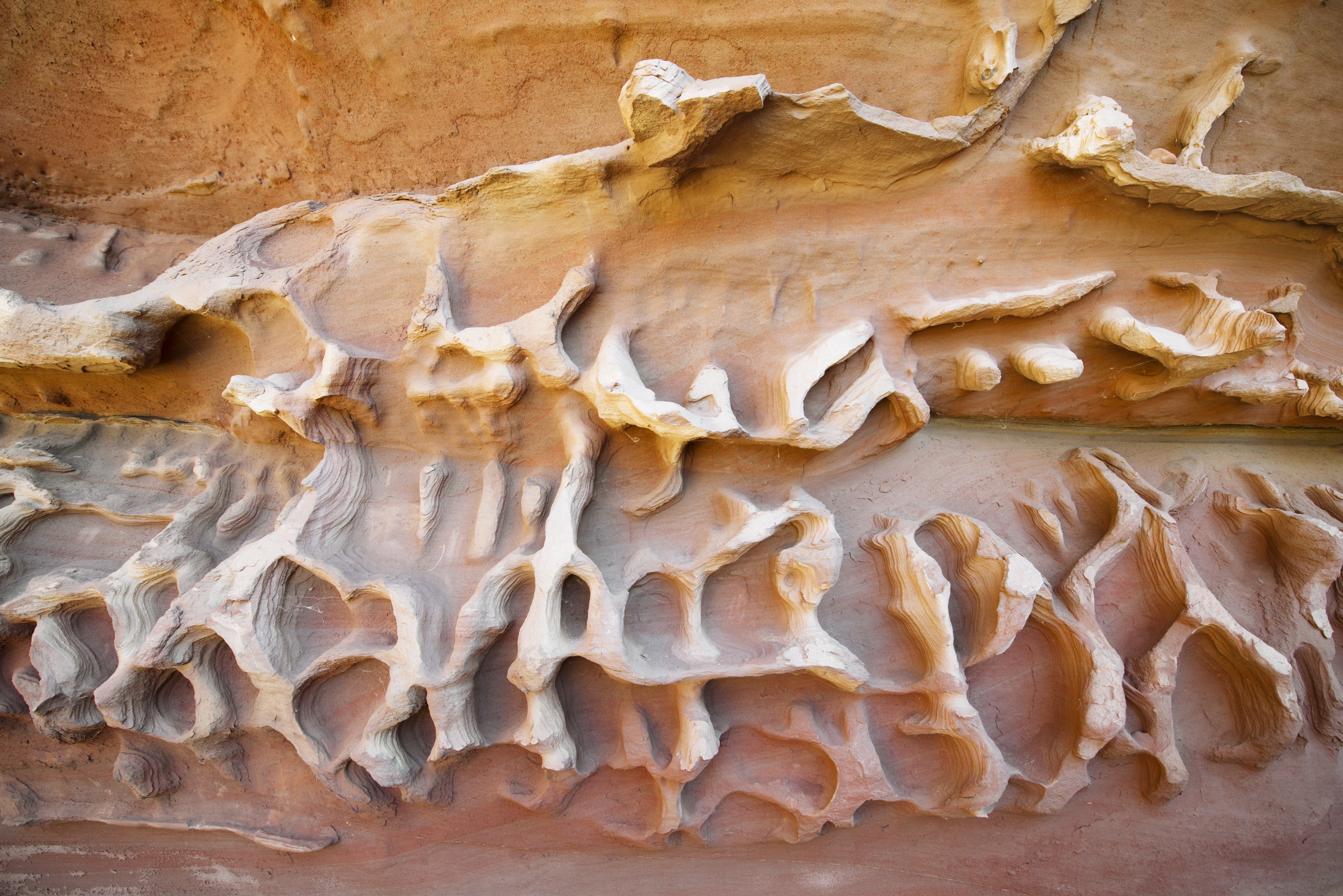 Honeycomb gorge 