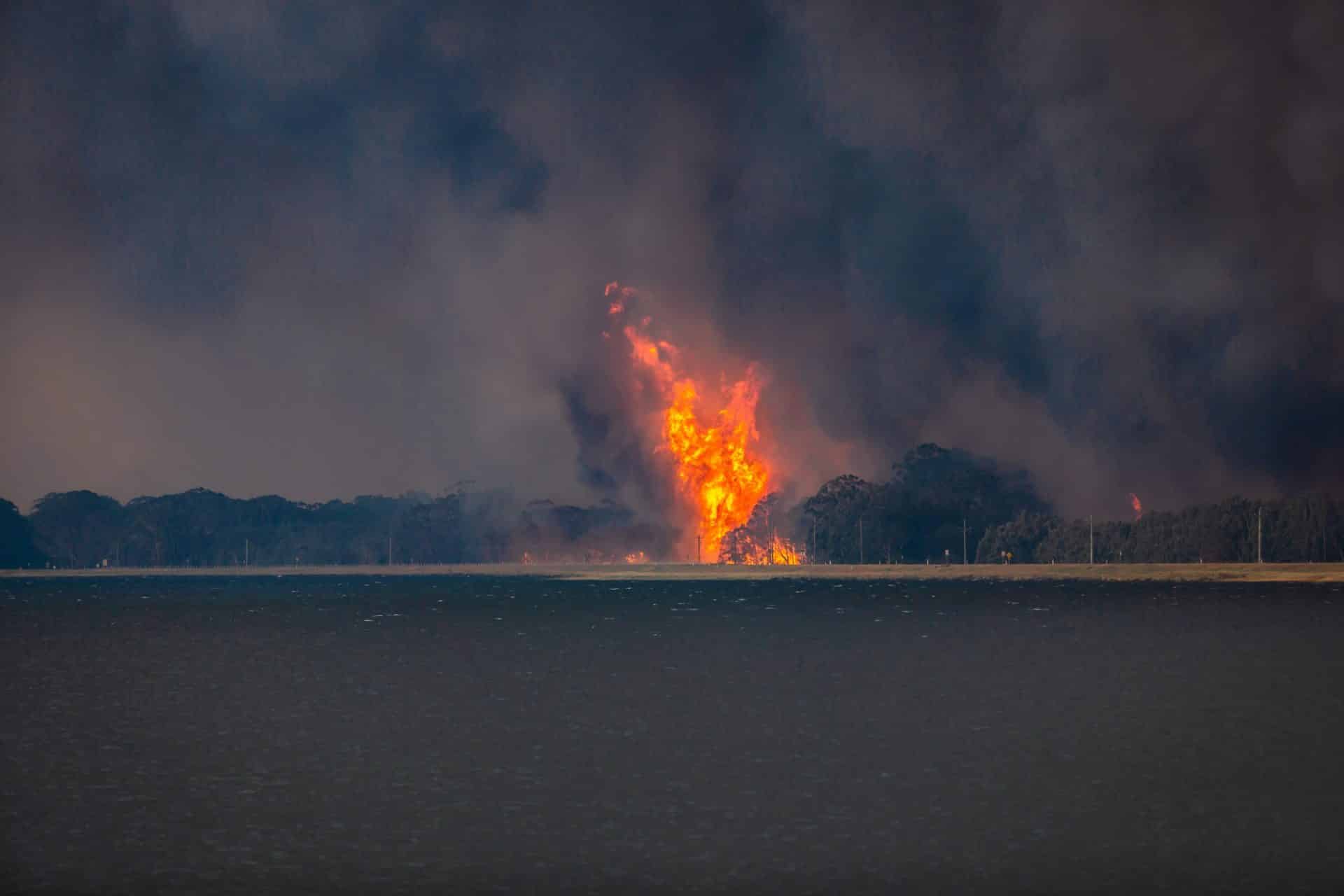 131017 Grahamstown Fire (6 Of 17)