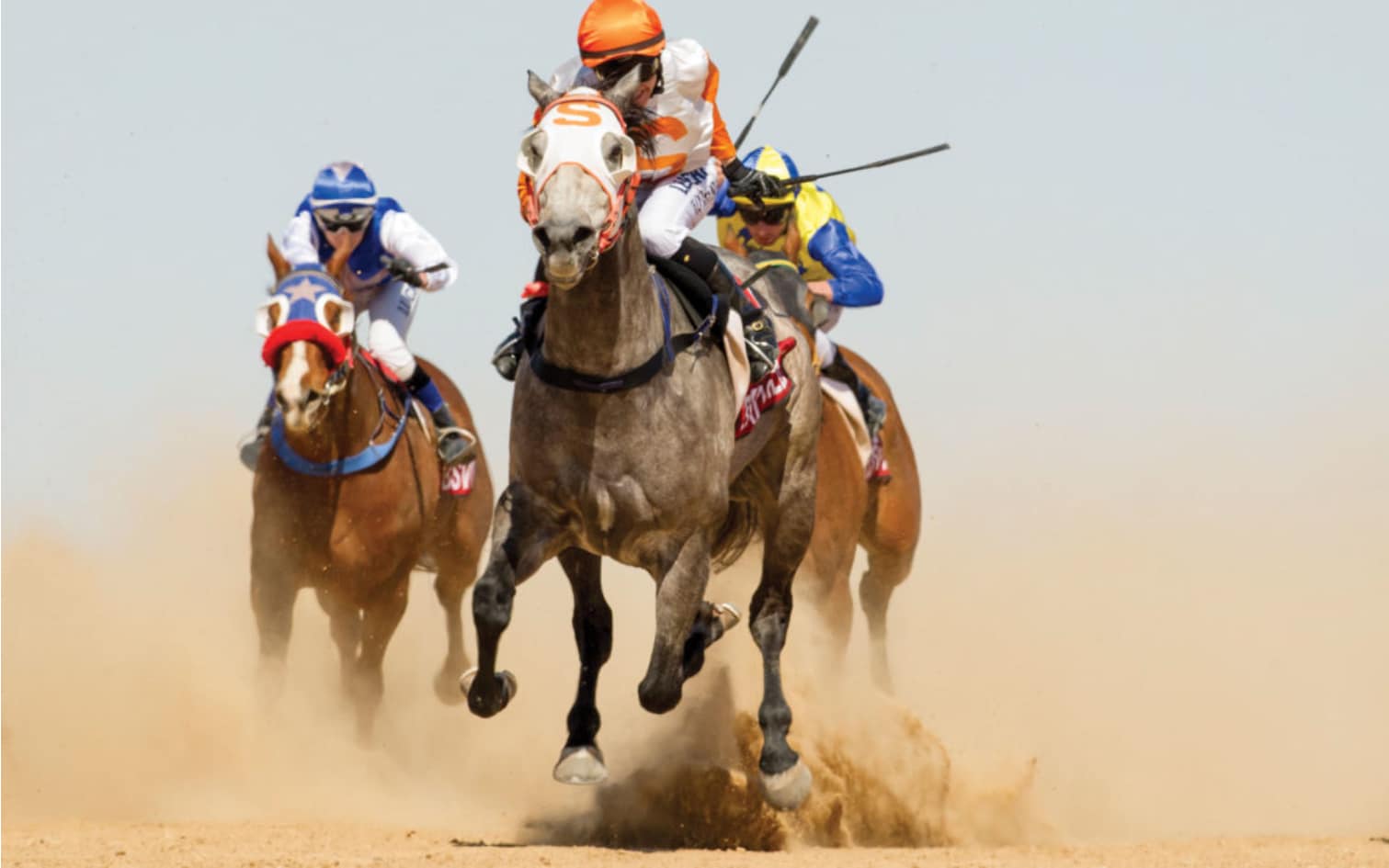 Birdsville Races Cancelled 2020