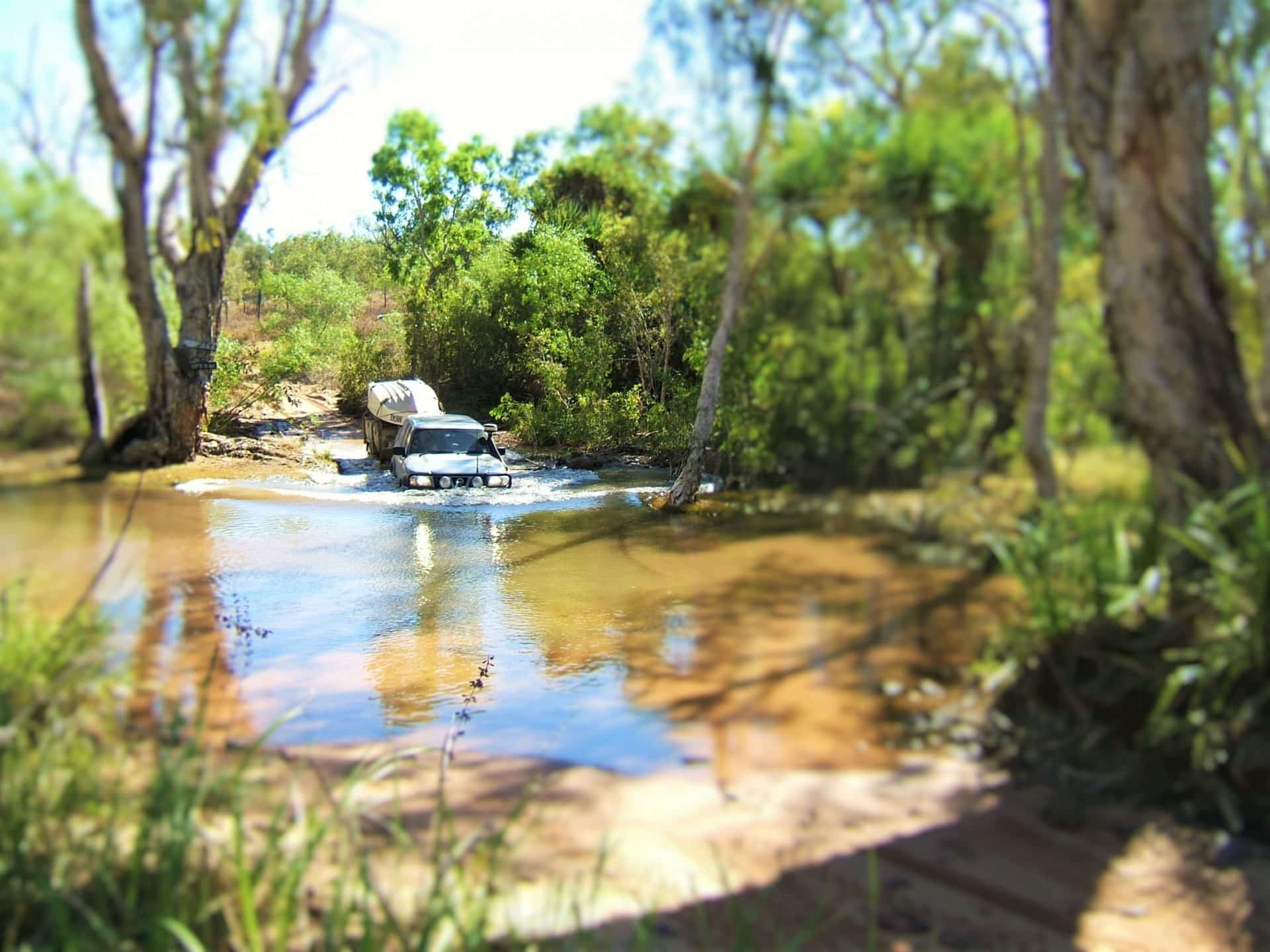 tracks around Lorella Springs.