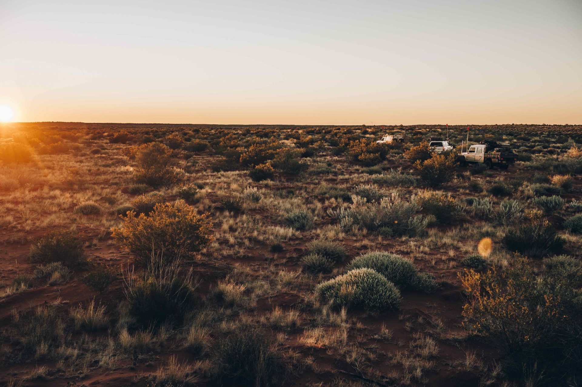 Madigan Line Simpson Desert Trip 2015