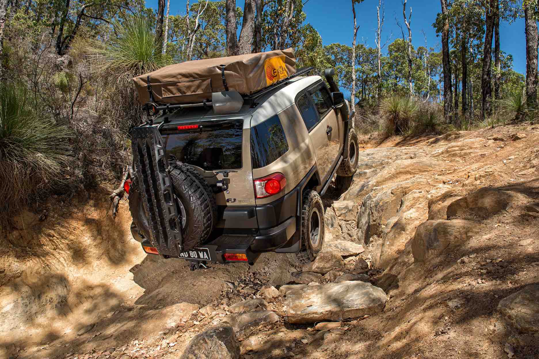 Custom FJ Cruiser-1