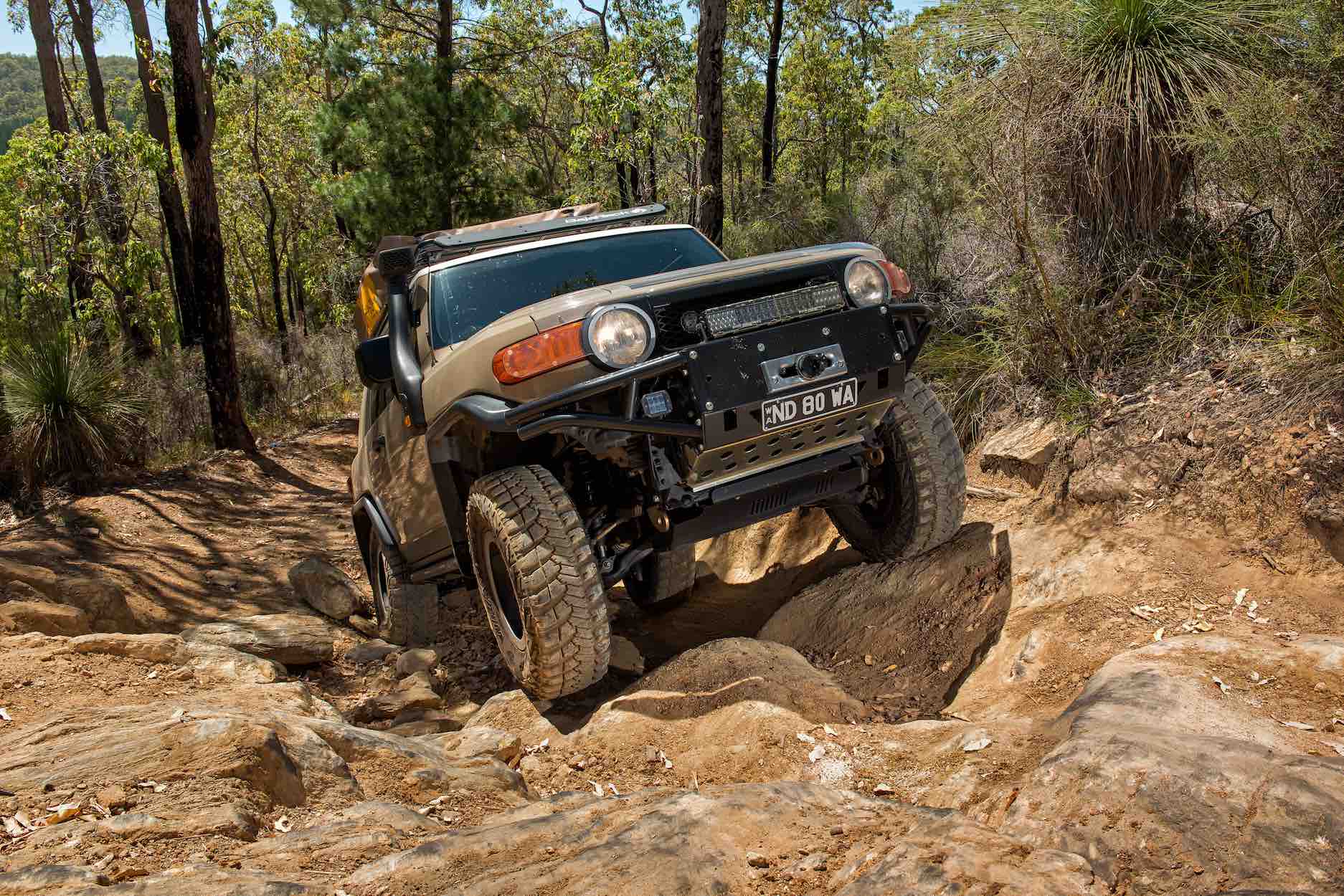 Custom FJ Cruiser-11