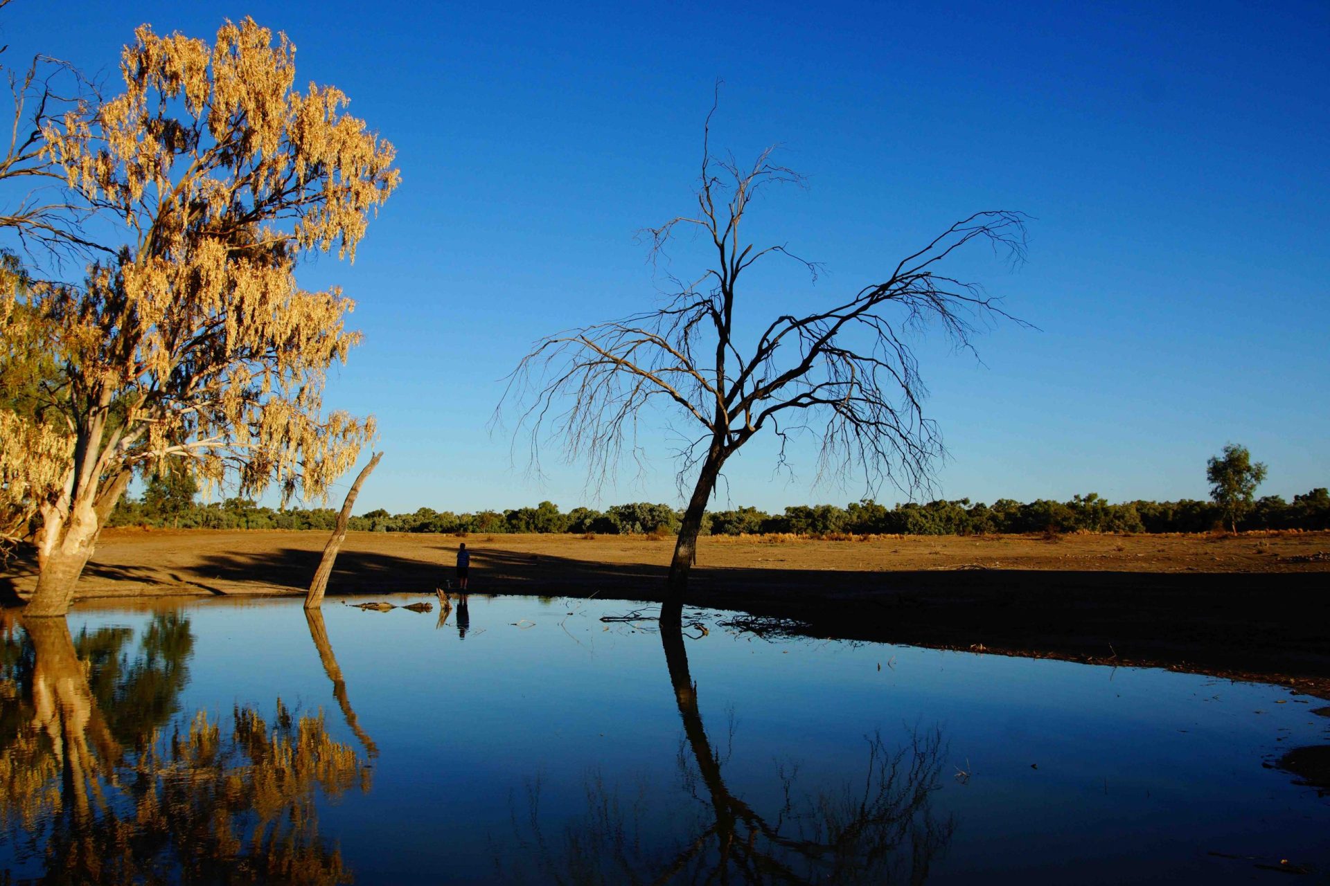 Trilby Station river 