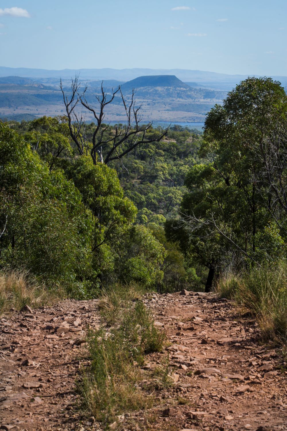 kroombit tops national park