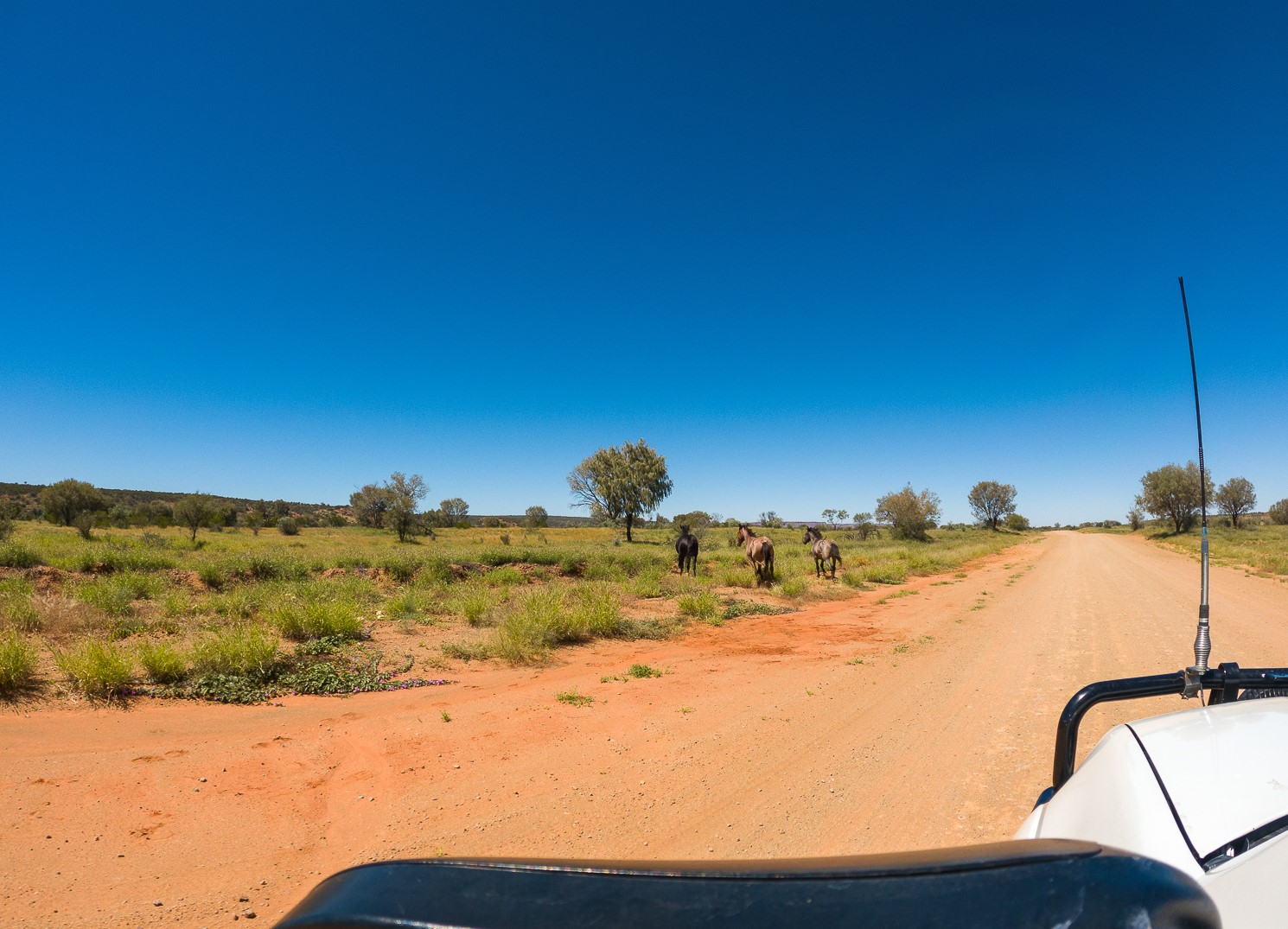 iconic dirt roads