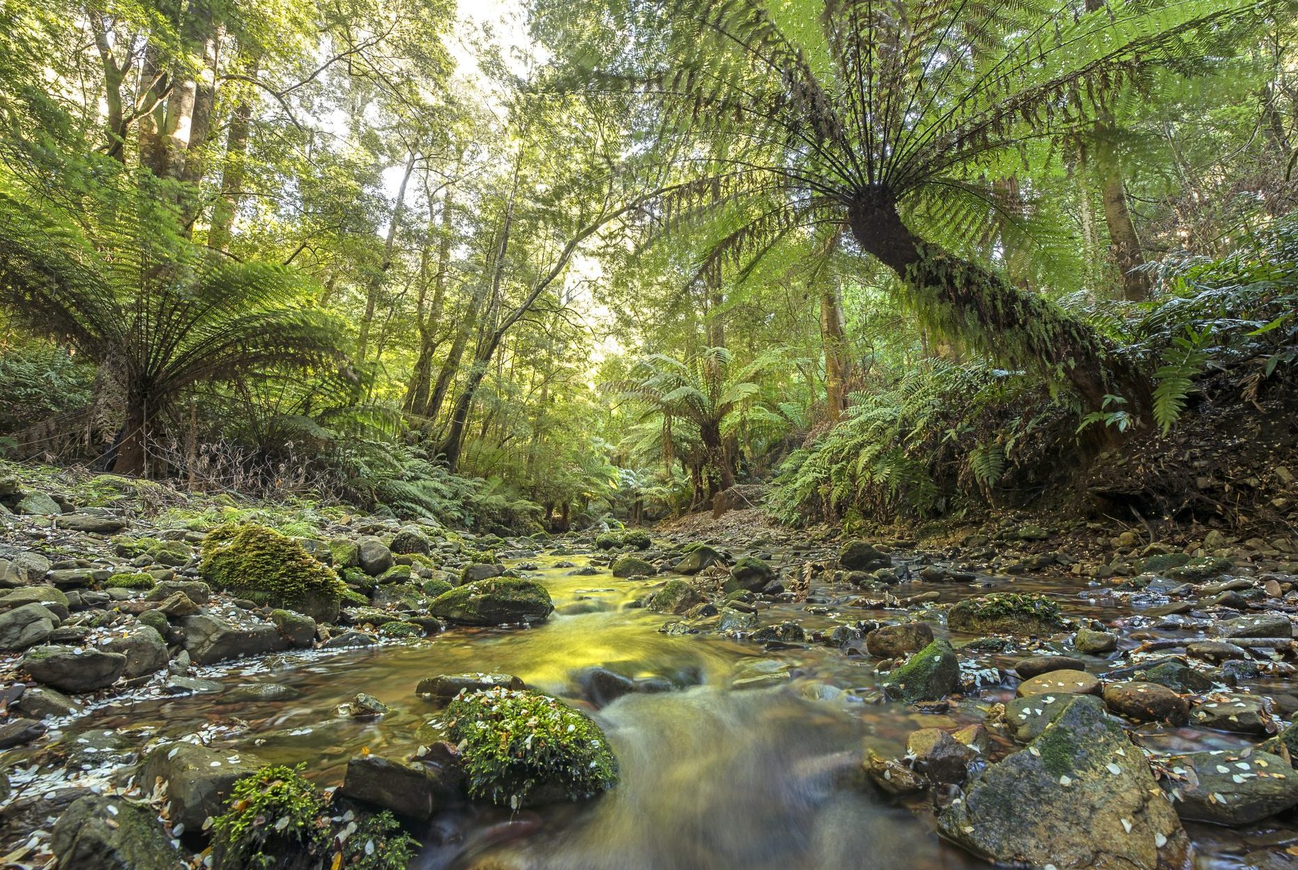 Deau National Park © De Kramer Photography