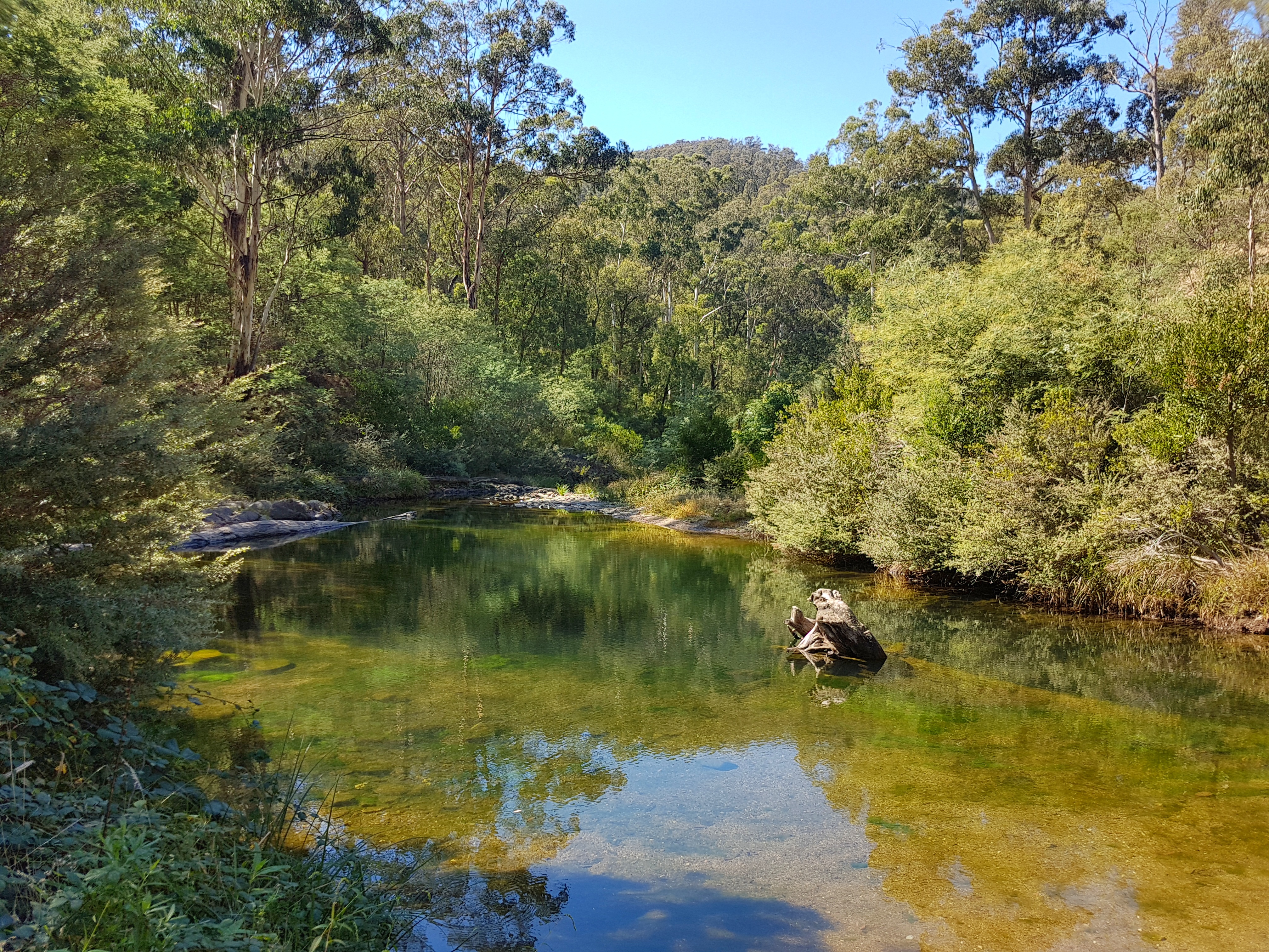 free camping in victoria
