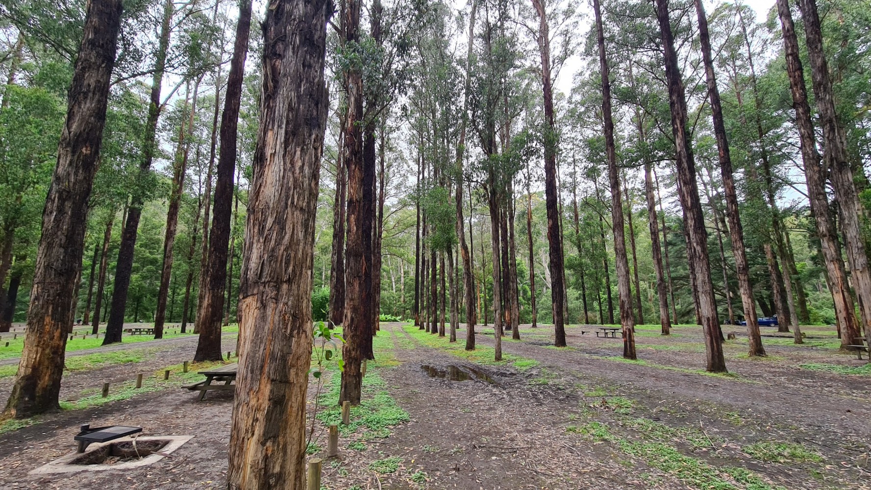 free camping Victoria