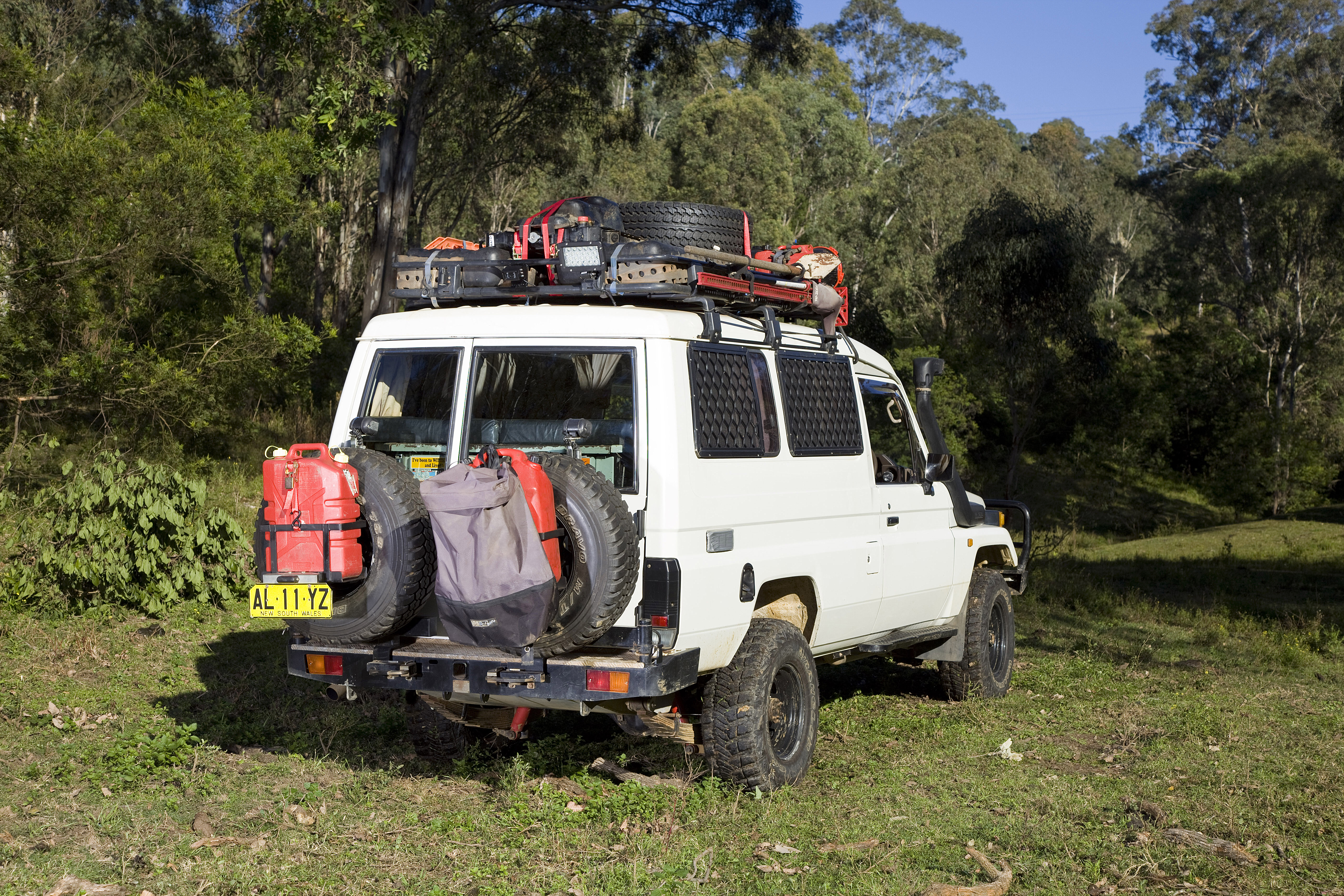 Vehicle with a roof rack
