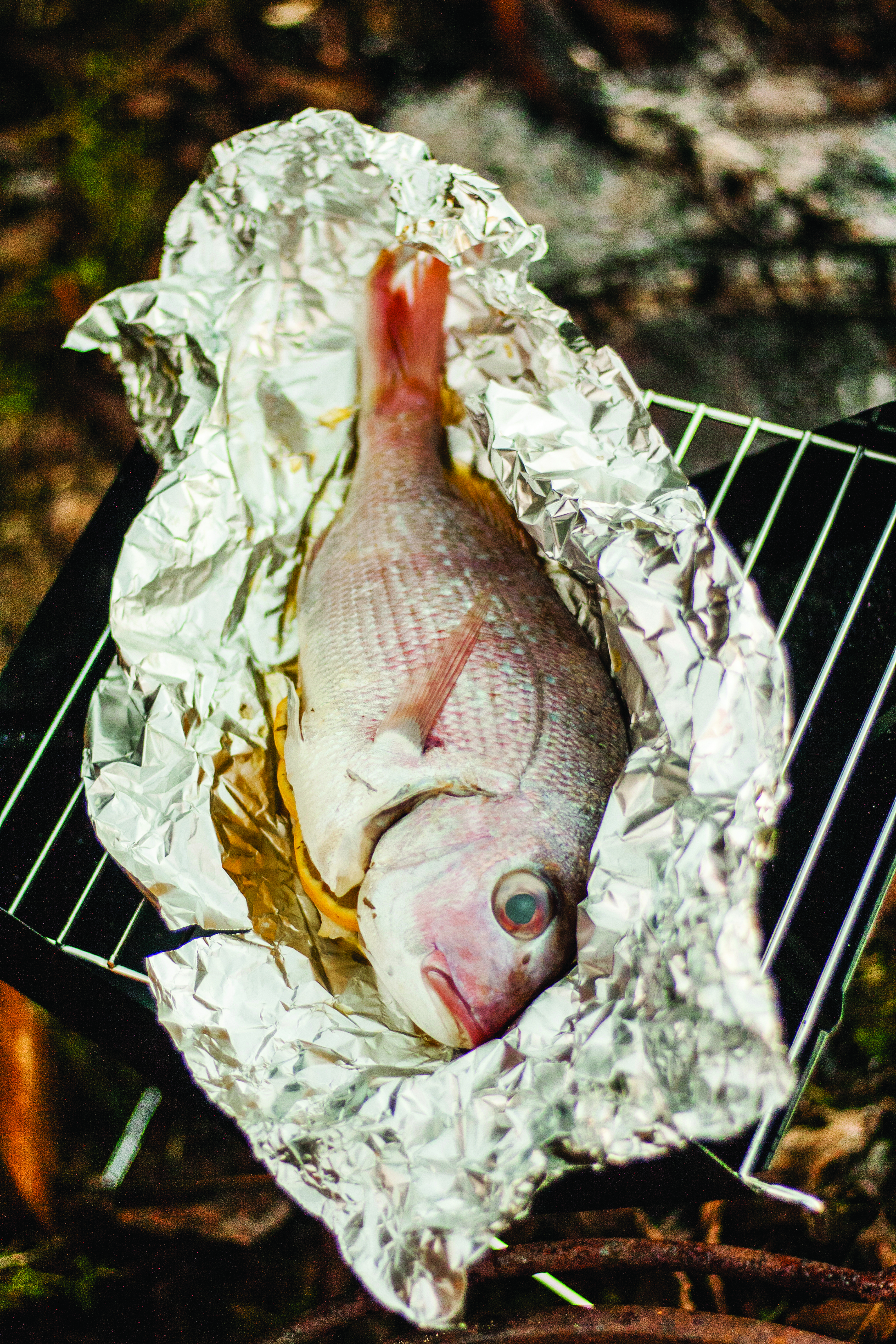 BBQ fish recipes