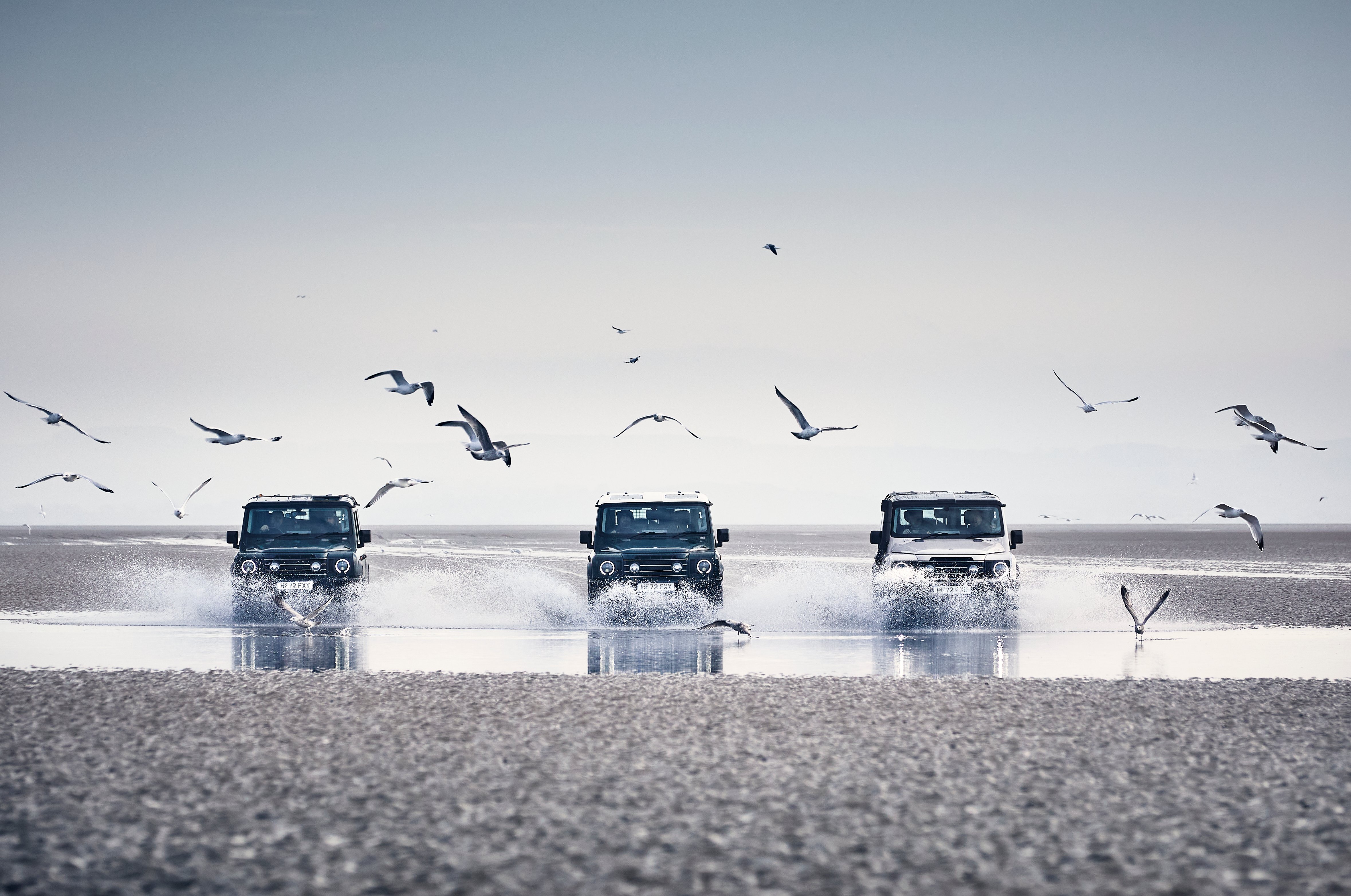 Ineos Grenadier with birds
