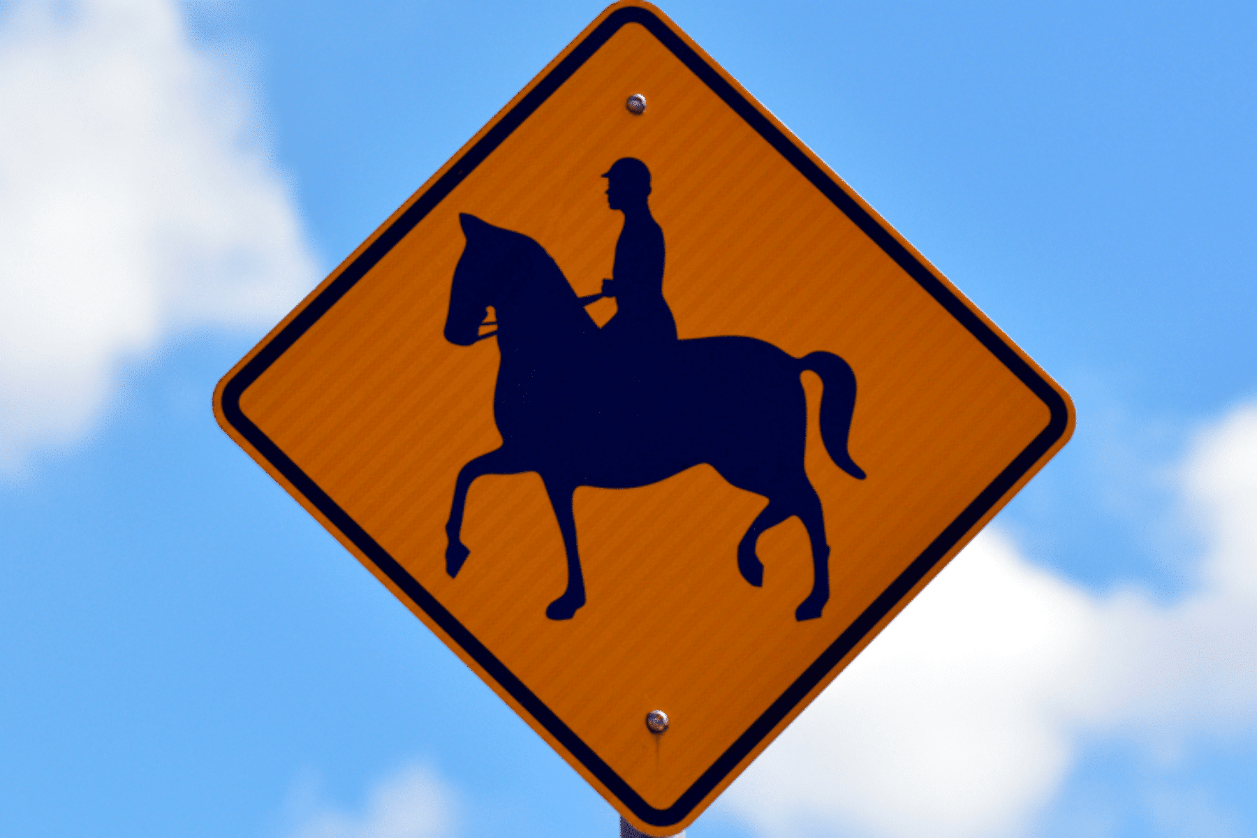 Horse riding sign