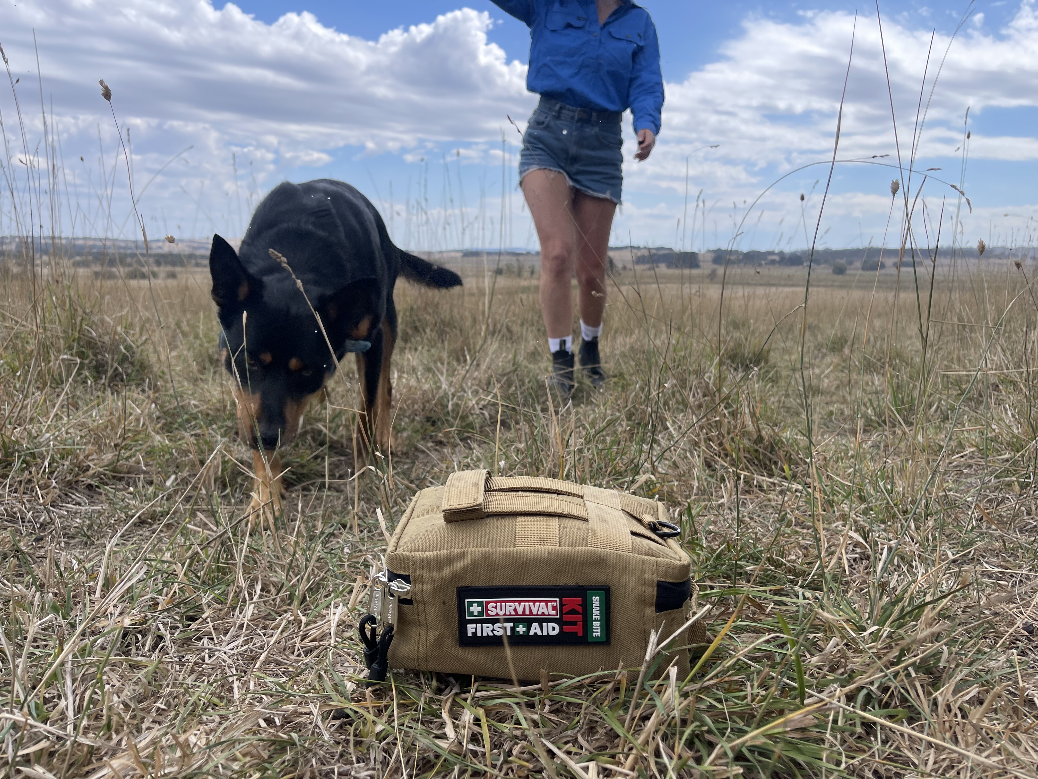SURVIVAL Snake Bite First Aid KIT