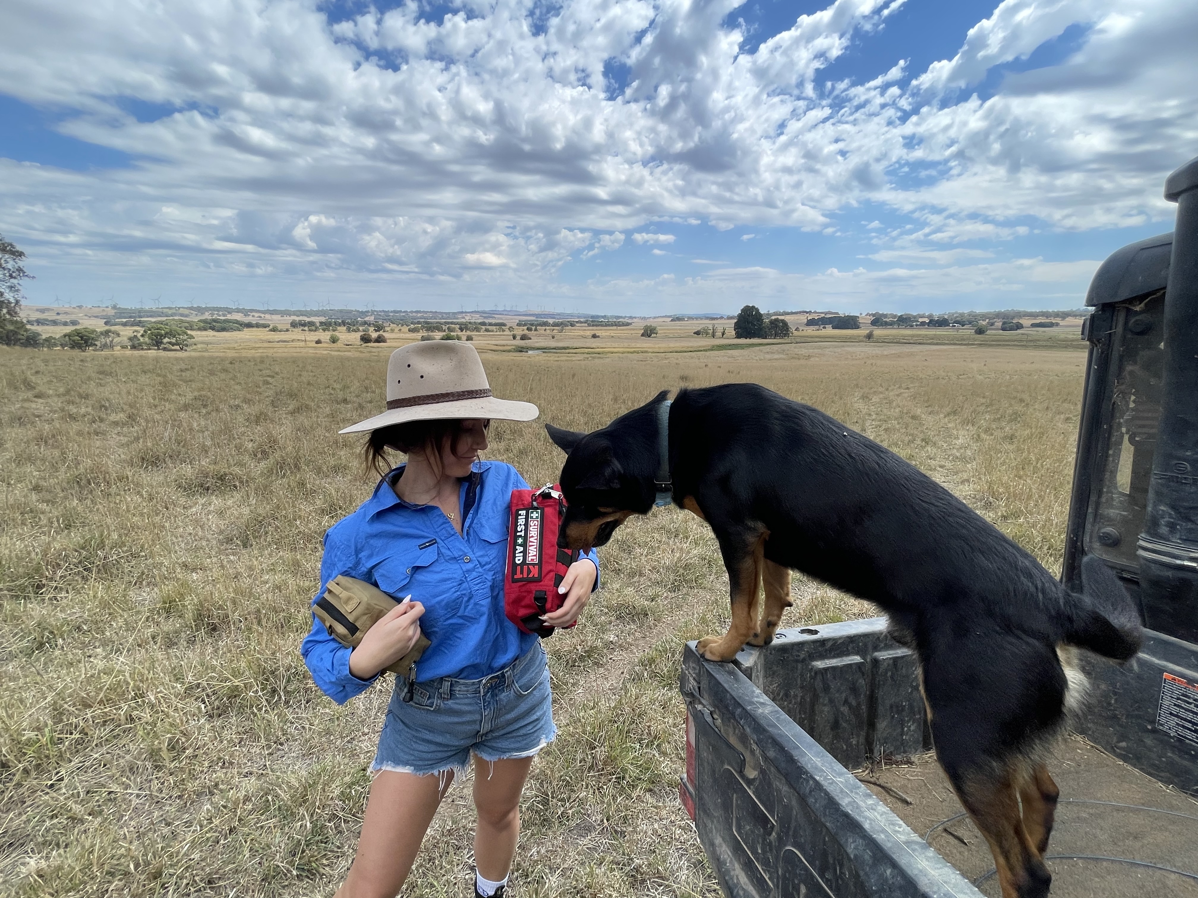 SURVIVAL Snake Bite First Aid KIT