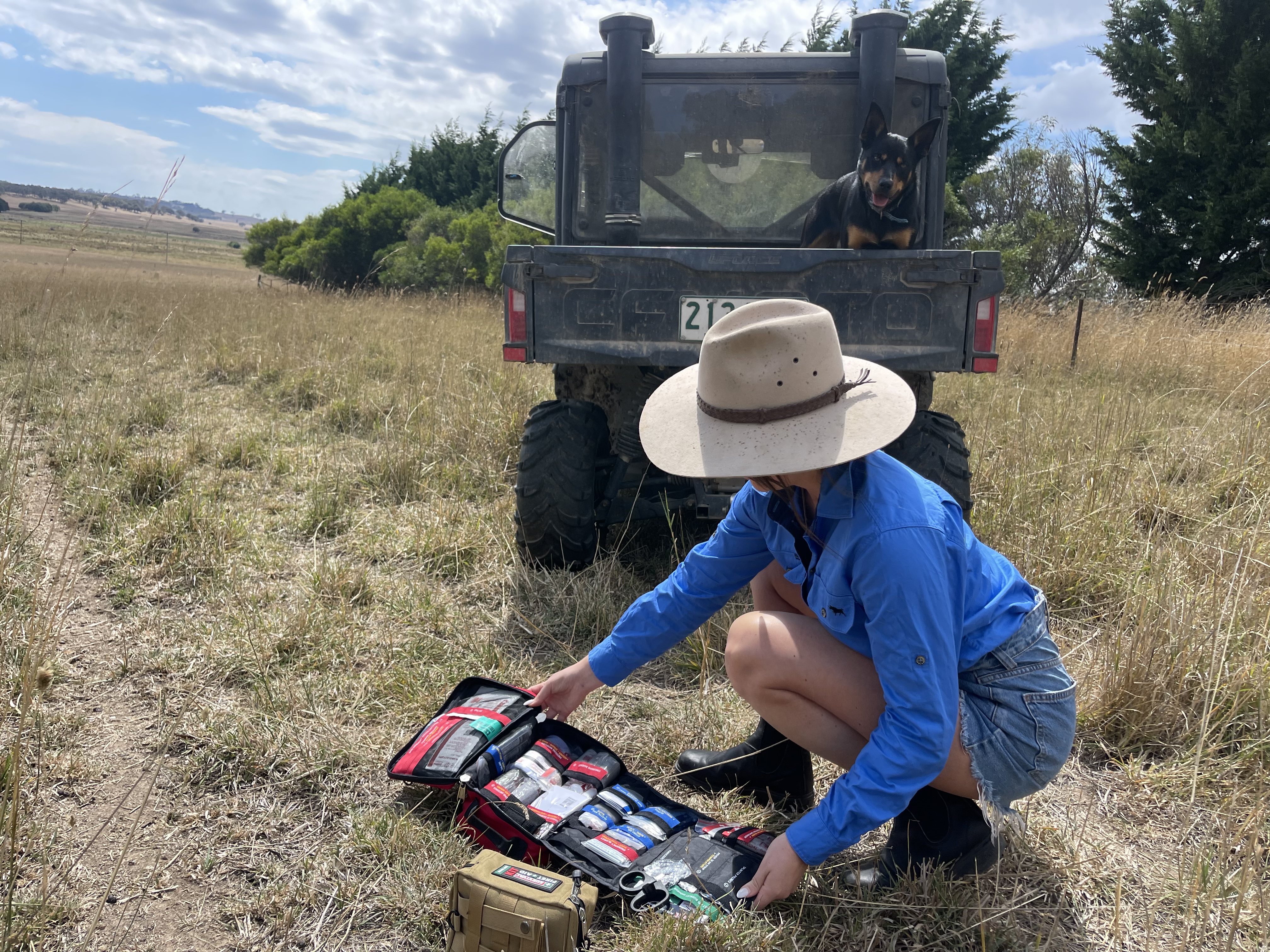 SURVIVAL Snake Bite First Aid KIT