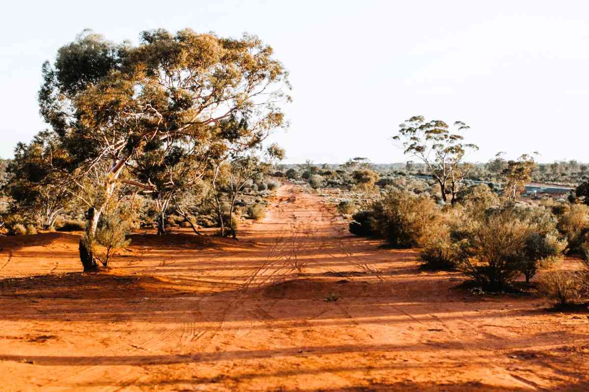 Outback breakdown survival - Australian Savanna