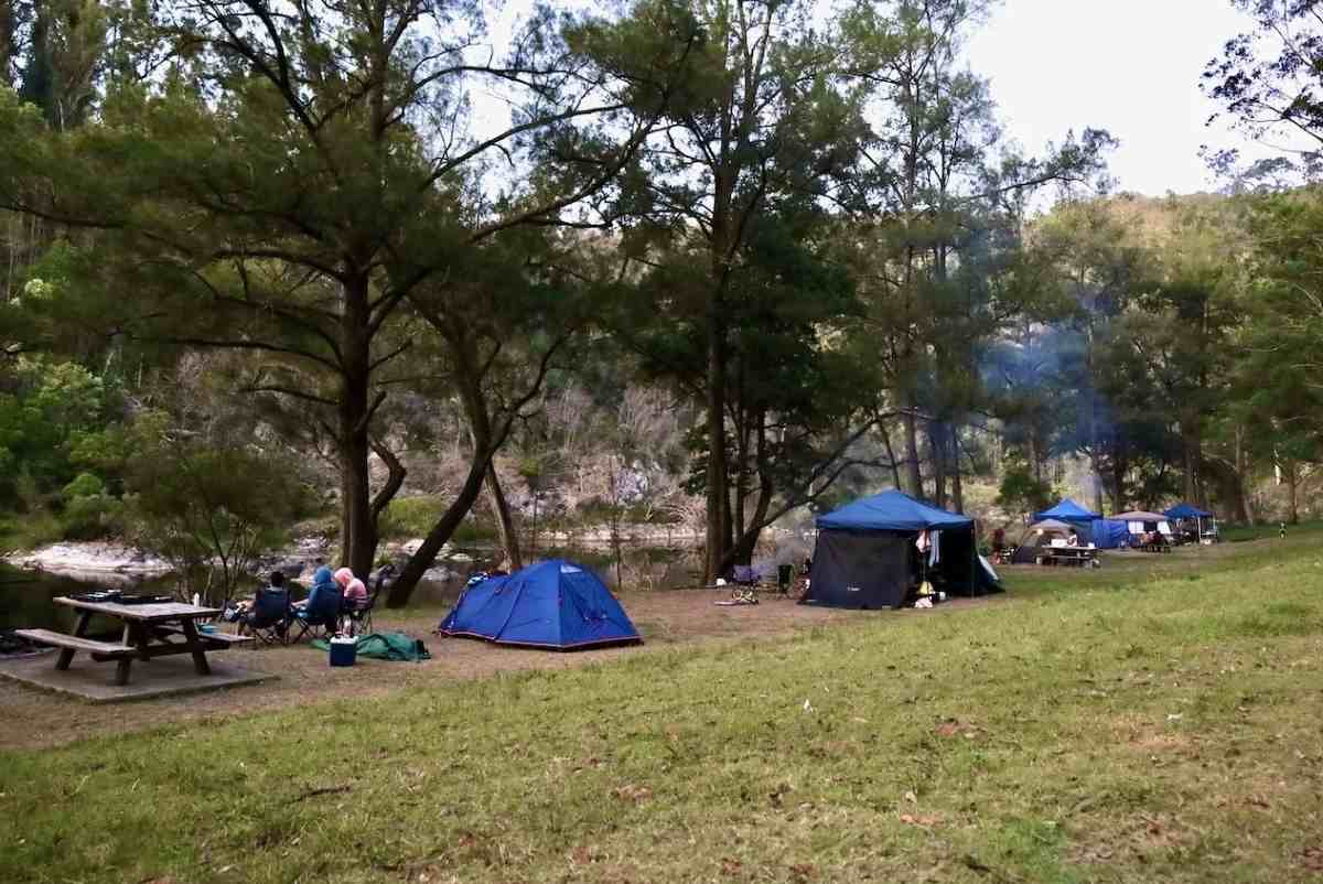 Platypus Flat camping area Nymboi Binderay National Park
