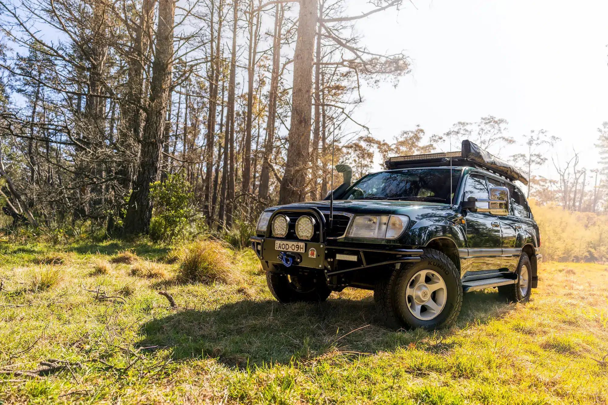 Fraser Island, Fire trails and a bit of everything