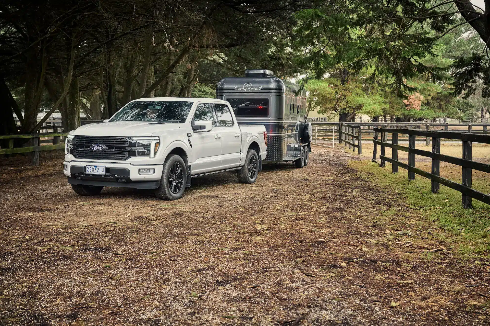 Ford F-150 towing horse float demonstrating 4500kg towing capacity