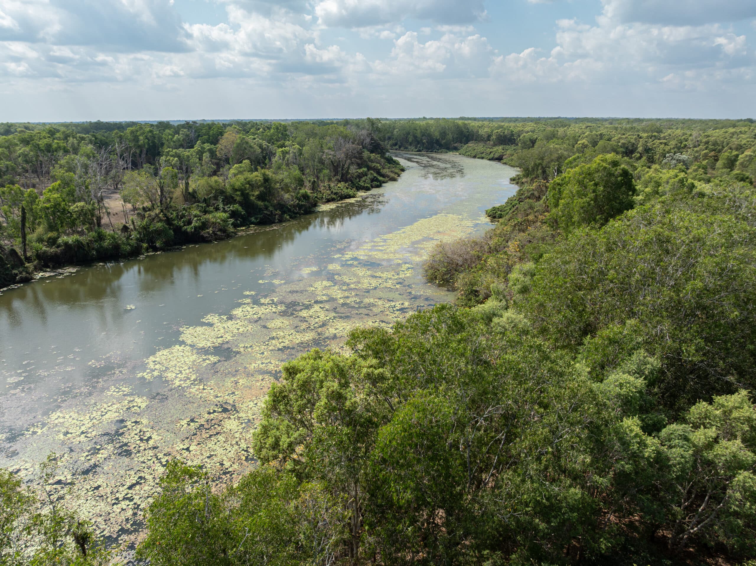 Hardies Billabong fishing spot