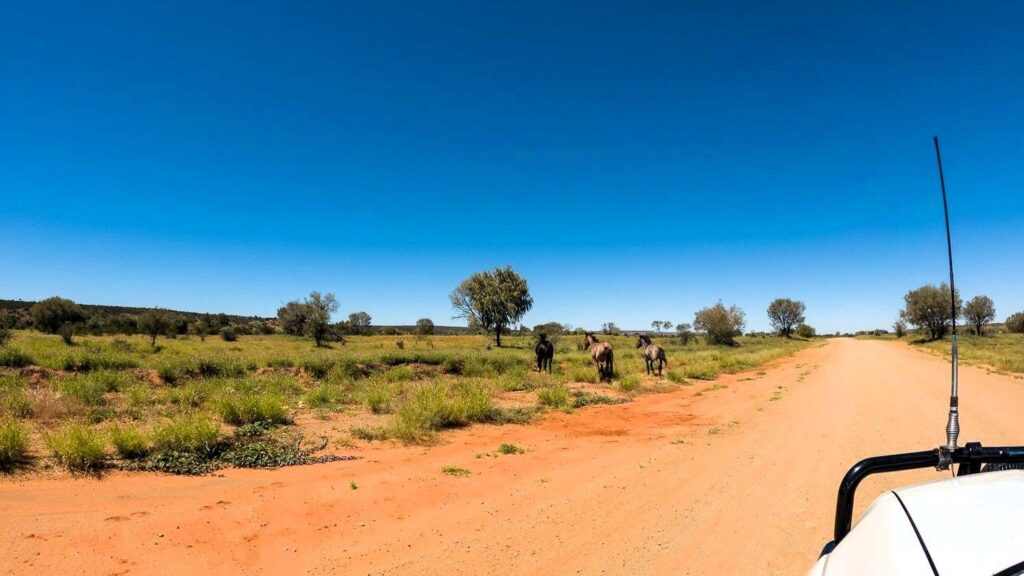 4WD road trip to Uluṟu
