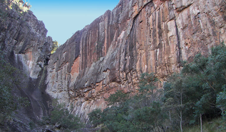 Moree 4WD trips